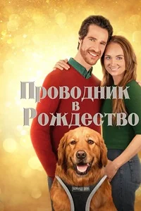Проводник в Рождество